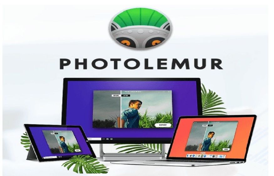 The cost price of Photolemur is $72 per year. When you open this app, it will ask to import a photo is that the software can automatically edit it