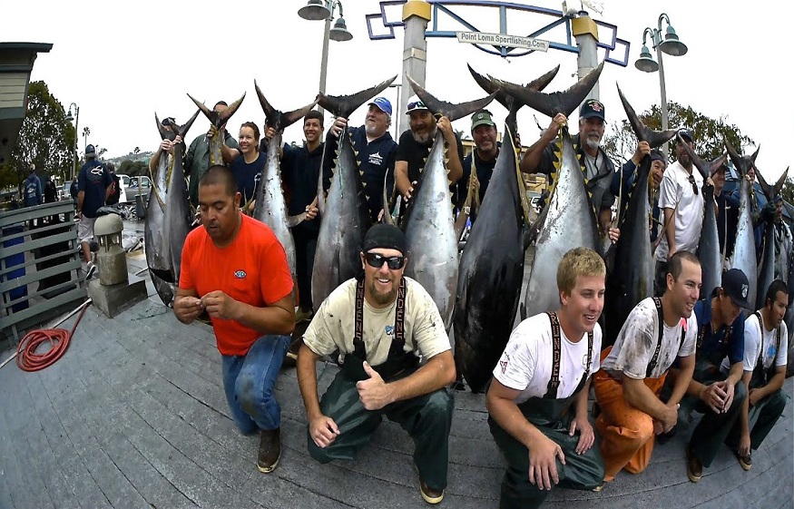 Tuna Fishing Basics