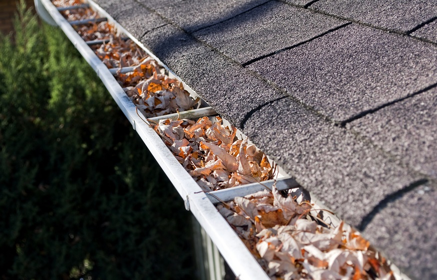 5 Factors to Consider When Hiring a Gutter Cleaning Company
