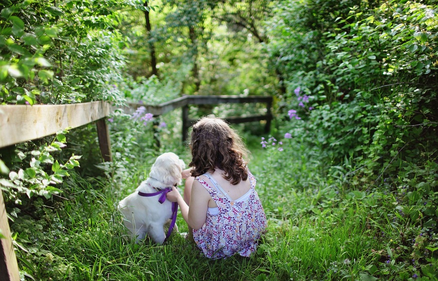 5 Benefits of Having a Fence for Dogs