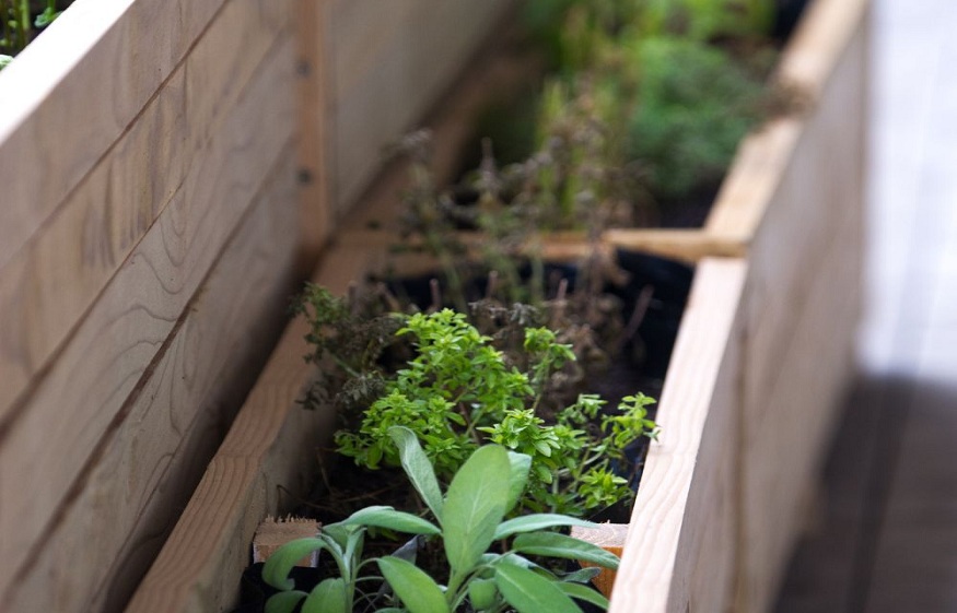  Wooden Planter Box