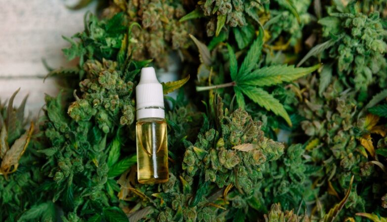 medical marijuana India